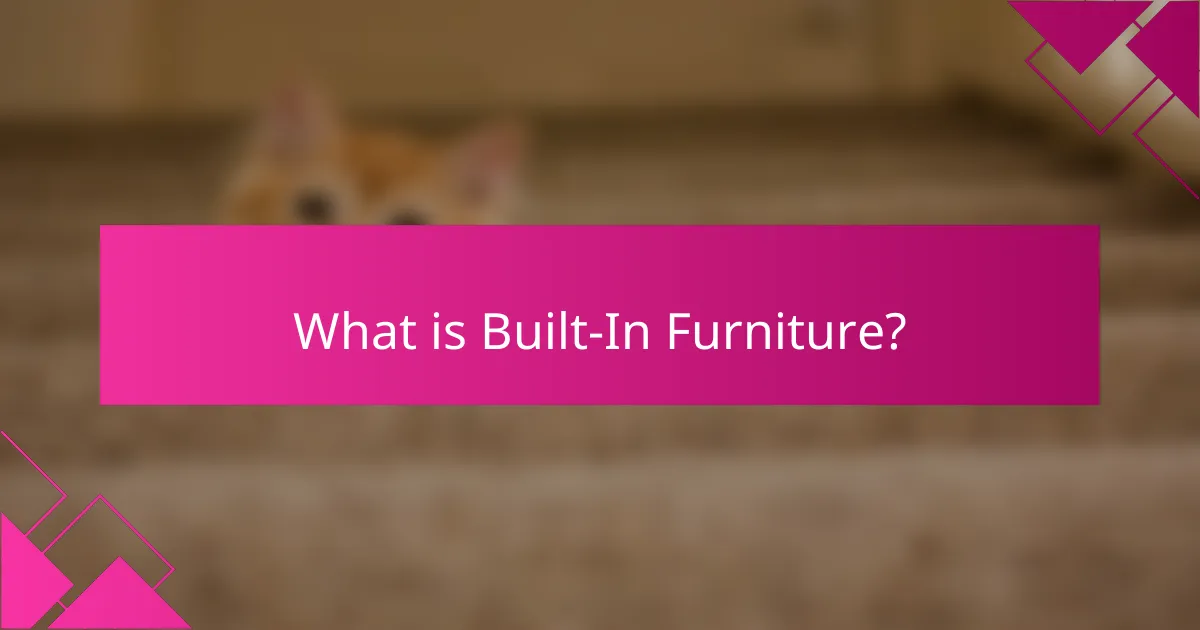 What is Built-In Furniture?